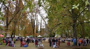 portes ouvertes castillon 2017