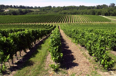 Côtes de Francs7