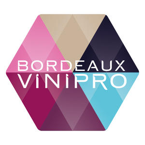 logo vinipro