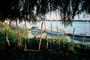 BLAYE-PAYSAGE8