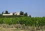 Côtes de Francs10