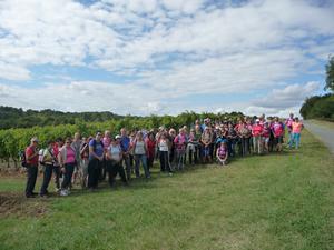 Balades vendanges 2016