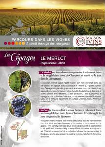 parcours dans les vignes cadillac